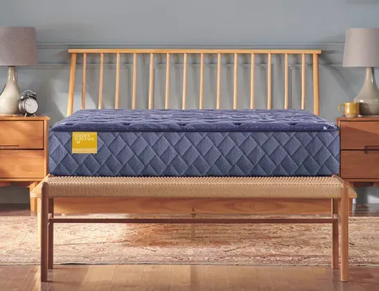 sealy-memory-foam-vs-hybrid